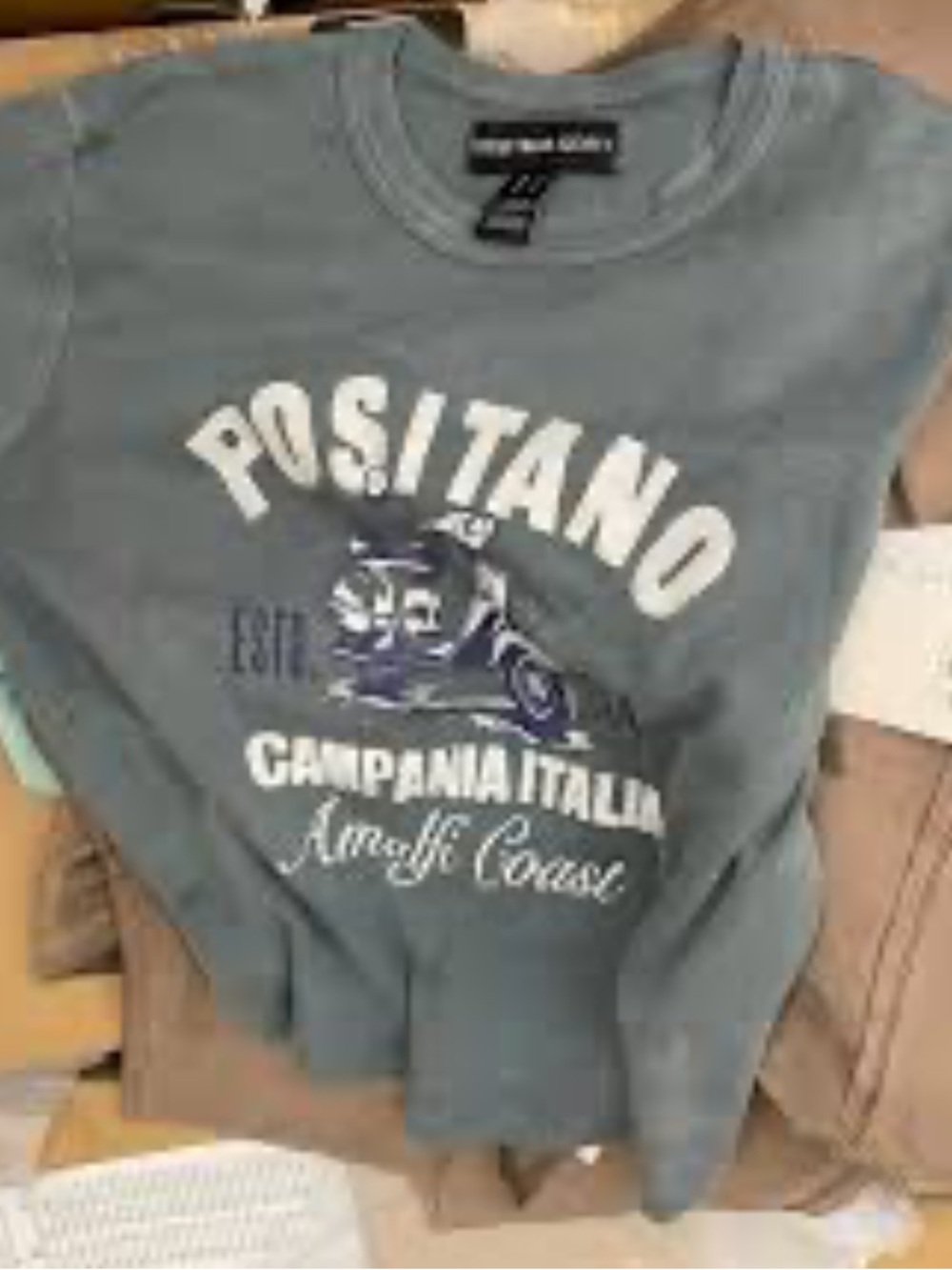 Streetwear Society Positano Graphic Crop Top - Dusty Blue